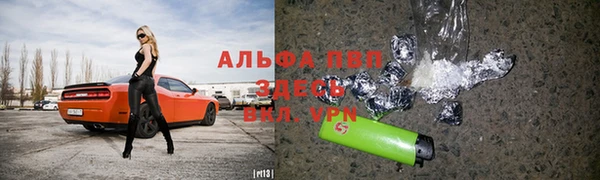 эйфоретик Пересвет