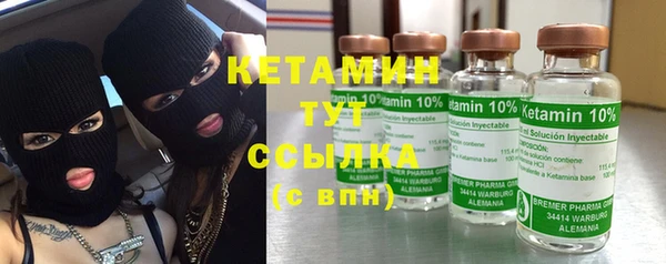 прущие грибы Пестово