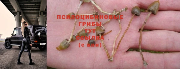 бутират Переславль-Залесский