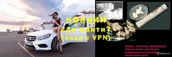 эйфоретик Пересвет