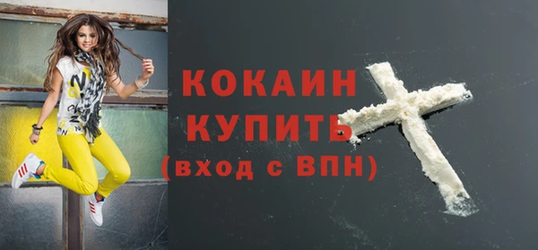 прущие грибы Пестово