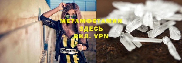 прущие грибы Пестово