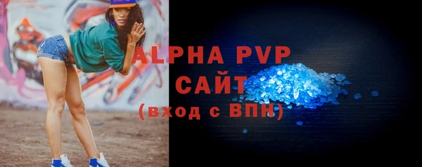 эйфоретик Пересвет