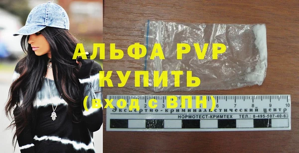 прущие грибы Пестово