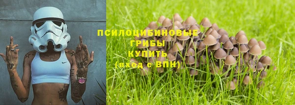 бутират Переславль-Залесский