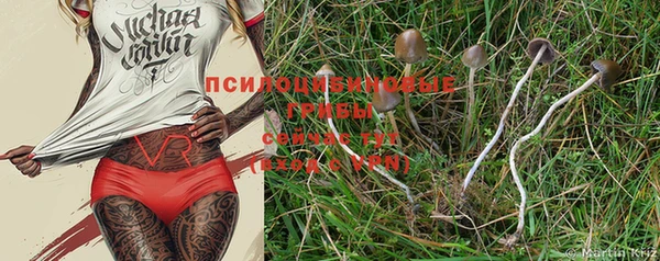 эйфоретик Пересвет